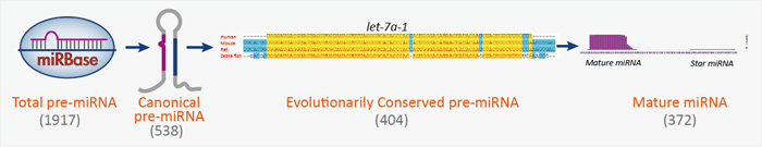 Rigorous_collection_pipeline.jpg