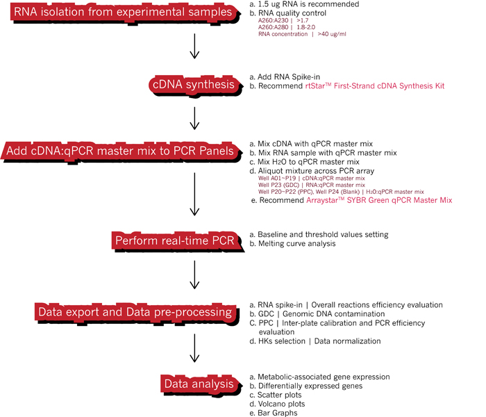 overview-protocol2